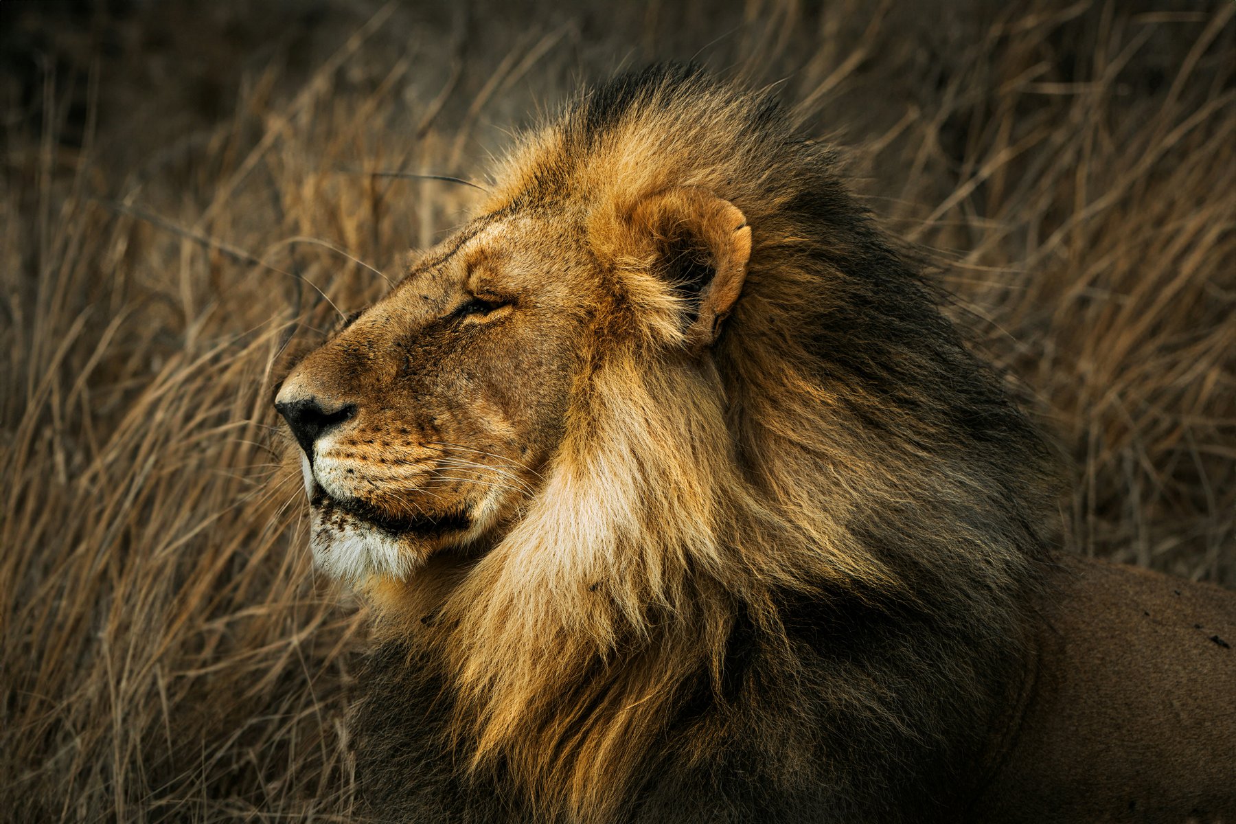 Serengeti National Park