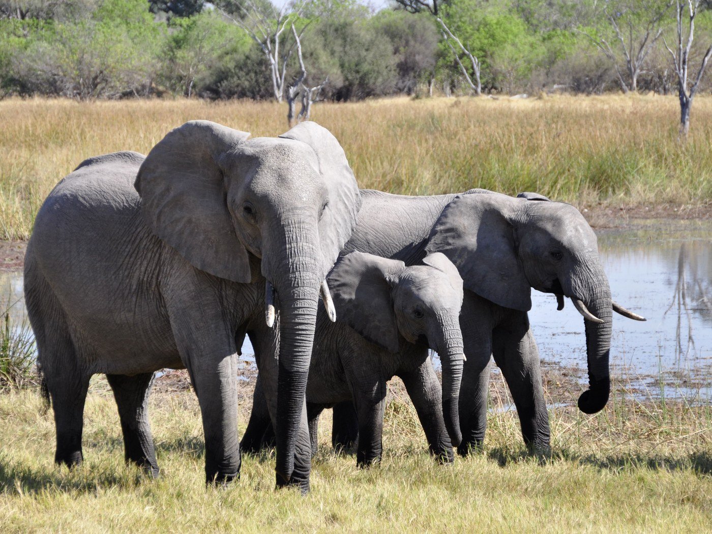 Tarangire National Park